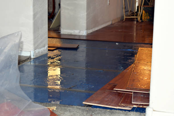Professional Basement Flood Cleanup technician working in Fuquay-Varina, NC